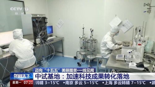 一線見(jiàn)聞丨順藤摸瓜 深圳科創(chuàng)青藤體系，如何賦能硬科技轉(zhuǎn)化？